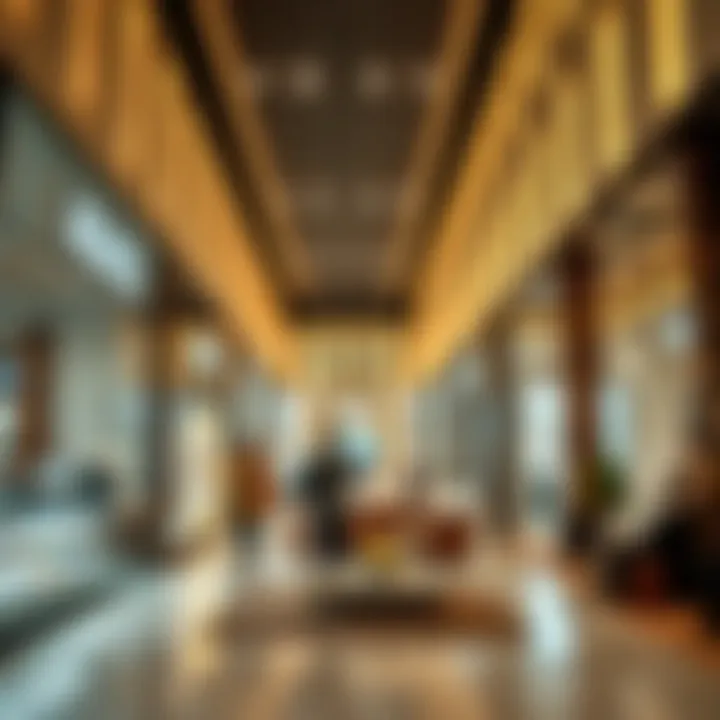 Magnificent Exploring Affordable Brands in Dubai Magnificent Exploring Affordable Brands in Dubai