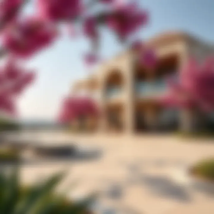Magnificent Exploring Masaar Azalea: A Comprehensive Guide