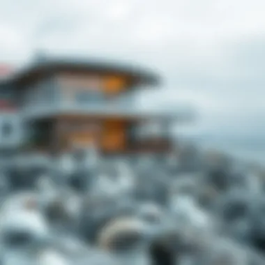 Magnificent The Residence of Seabirds: An In-Depth Exploration