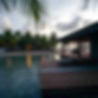 Magnificent Understanding the Mangrove Beach Entry Fee: A Comprehensive Guide Magnificent Understanding the Mangrove Beach Entry Fee: A Comprehensive Guide