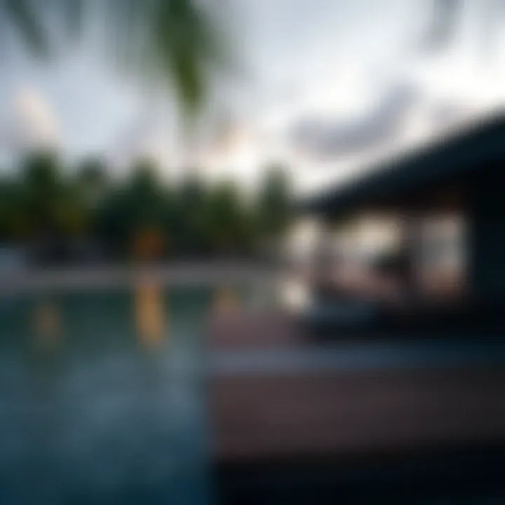 Magnificent Understanding the Mangrove Beach Entry Fee: A Comprehensive Guide Magnificent Understanding the Mangrove Beach Entry Fee: A Comprehensive Guide