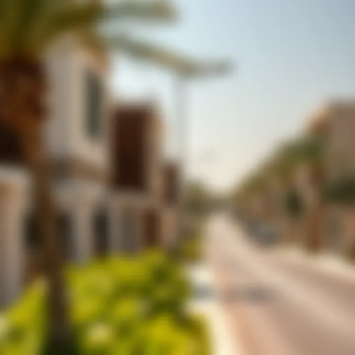 Residential Neighborhood in Al Ain Residential neighborhood in Al Ain highlighting architectural styles