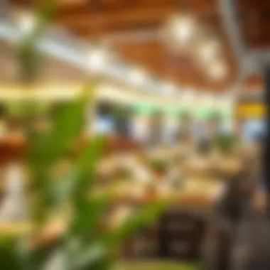 Culinary Delights at Al Ansari Oasis Mall Dining area in Al Ansari Oasis Mall featuring various cuisines