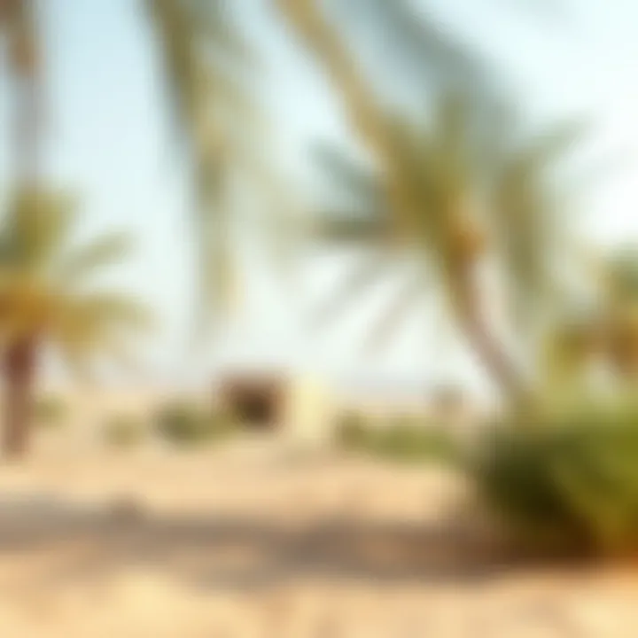 The Natural Wonders of Al Dhafra Natural beauty and wildlife in Al Dhafra