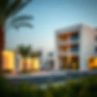 Emerging Real Estate Trends in Al Dhafra Modern real estate developments in Al Dhafra