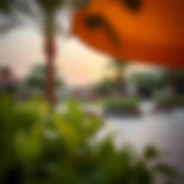 Community Amenities in Al Raha Community amenities including parks and recreational areas in Al Raha