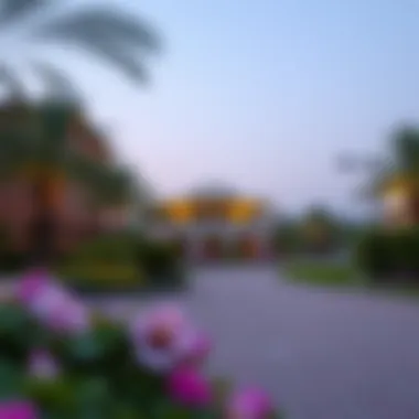 An In-Depth Exploration of Nakheel Park: A Gem in Dubai Summary An In-Depth Exploration of Nakheel Park: A Gem in Dubai Summary