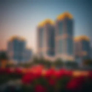 Future developments surrounding Centrepoint Al Zahia