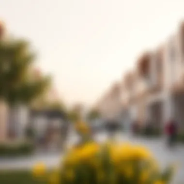 Vibrant community spaces in الرابية الخضراء البرشاء رقم