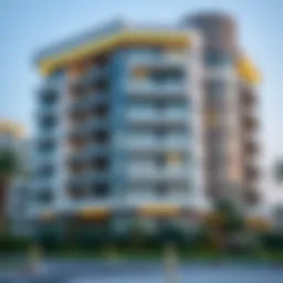 Financial consultation for expatriates in the UAE