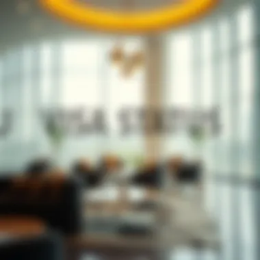 Importance of Visa Status Updates Graphic showing the significance of visa status updates