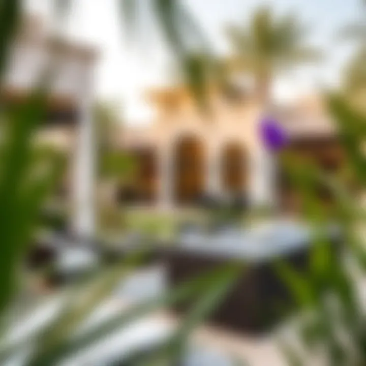 Serene Outdoor Living at Damac Fendi Villas Beautifully landscaped gardens and outdoor spaces of Damac Fendi Villas