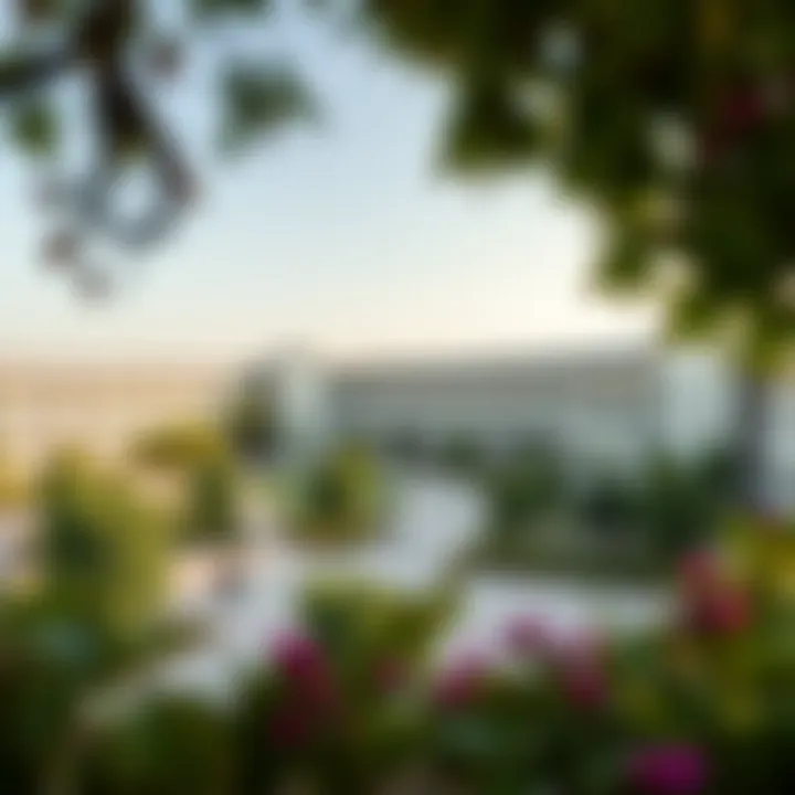 A panoramic view of a modern school in Damac Hills 2 showcasing its architecture and green spaces.