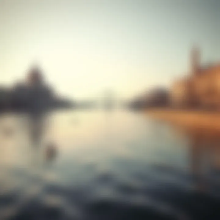 Challenges facing the Danube River today