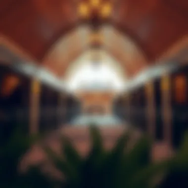 Luxurious stables at the Desert Palm Equestrian Centre