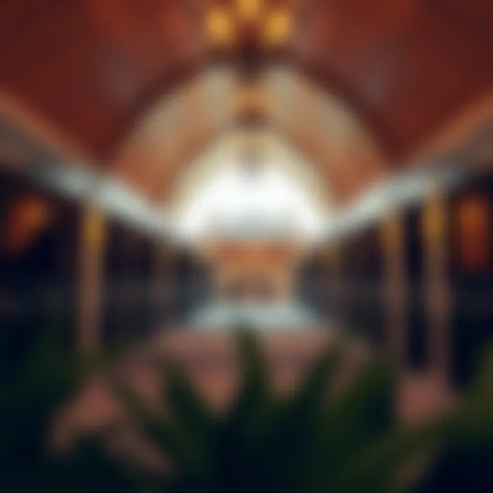 Luxurious stables at the Desert Palm Equestrian Centre