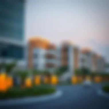 Vibrant community development in Dubai