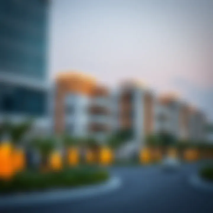 Vibrant community development in Dubai