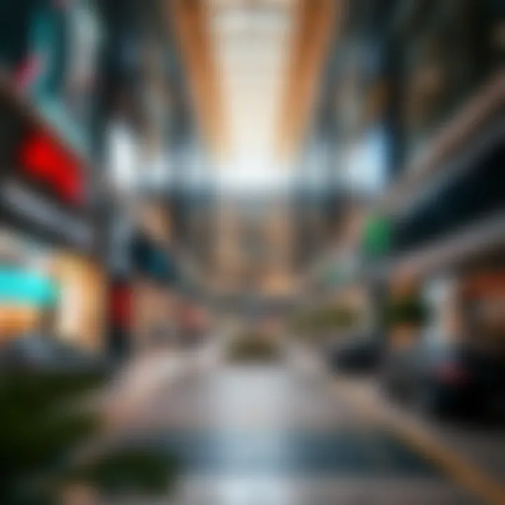 Strategic Mapping of Parking Zones Strategic map of parking zones in Dubai Mall