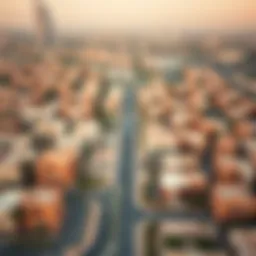 Aerial view of Al Qasis neighborhood showcasing residential areas and skyline