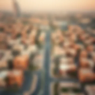 Aerial View of Al Qasis Neighborhood Aerial view of Al Qasis neighborhood showcasing residential areas and skyline