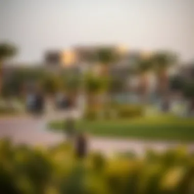 Community Park in Al Qasis Local park in Al Qasis with community members enjoying outdoor activities