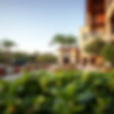 Recreational Areas in Dunes Village A serene view of recreational areas in Dunes Village emphasizing green spaces and leisure activities.