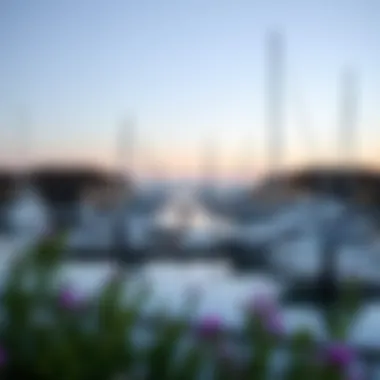 Serene Environment Surrounding Al Bandar Marina Serene environment surrounding Al Bandar Marina