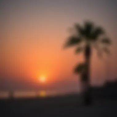 Sunset at Al Qurm Beach Sunset over Al Qurm Beach with silhouettes of palm trees
