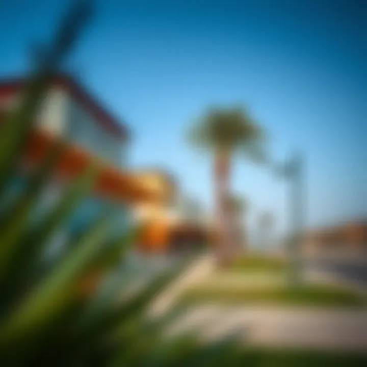 Local amenities and recreational facilities in Al Rashidiya