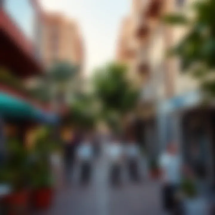 Lively Neighborhood with Amenities Vibrant neighborhood in Dubai with local amenities