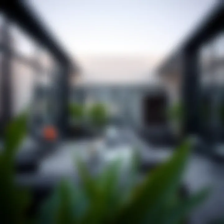 Luxurious Amenities in Shared Spaces Amenities in a shared living environment