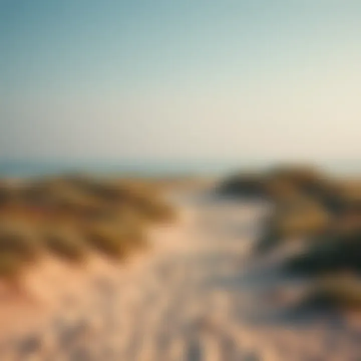 Access paths leading to the pristine Mamzar Beach