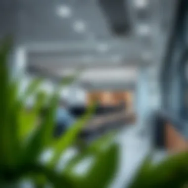 Innovative workspace within Dubai Technology Park