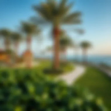 Recreational Spaces in Palm View Lush green landscapes and recreational areas in Palm View