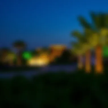 Evening Serenity at Hills Park Evening view of Hills Park illuminated by artistic lighting, creating a serene atmosphere