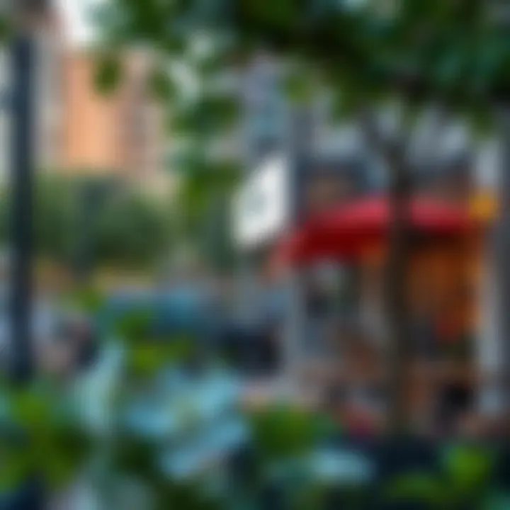 Vibrant Lifestyle at Imperial Avenue Vibrant lifestyle scene at Imperial Avenue with cafes and parks