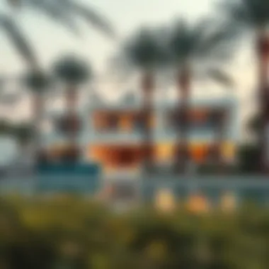 Elegant Beachfront Villas on Jumeirah The Palm Luxurious beachfront villas in Jumeirah The Palm surrounded by palm trees