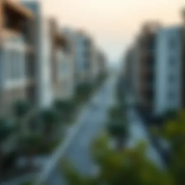 Urban Development and Real Estate in the UAE A modern residential area in the UAE reflecting the real estate growth.