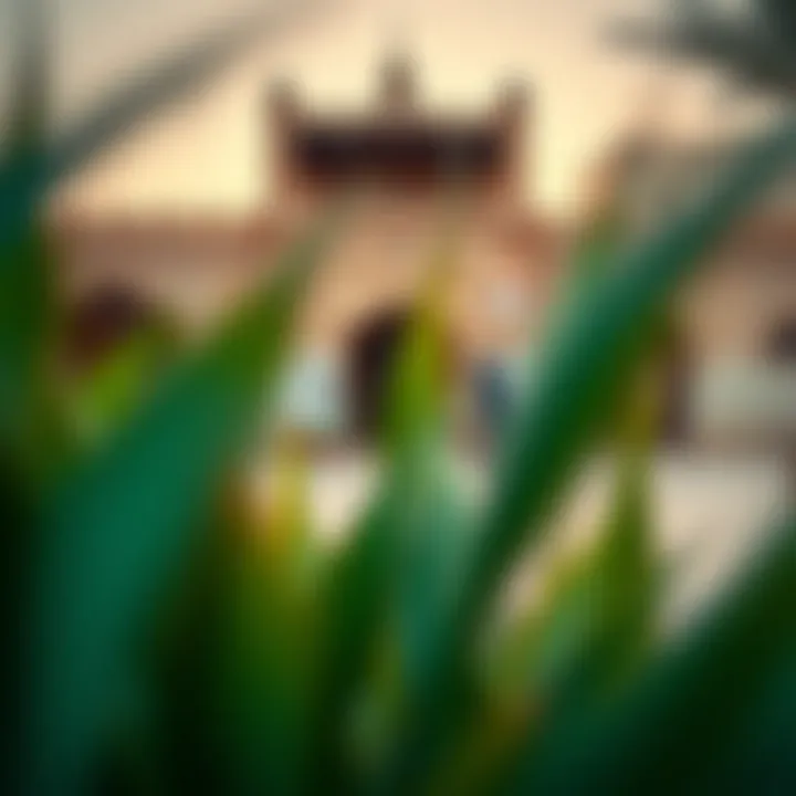 Historic site in Ajman showcasing traditional architecture