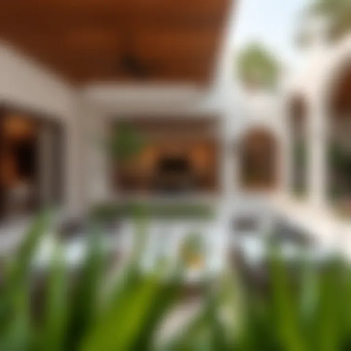 Beautiful Outdoor Space in a Rashidiya Villa Rashidiya villa garden and outdoor space