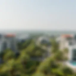 Aerial view of Palmview showcasing modern architecture and lush greenery