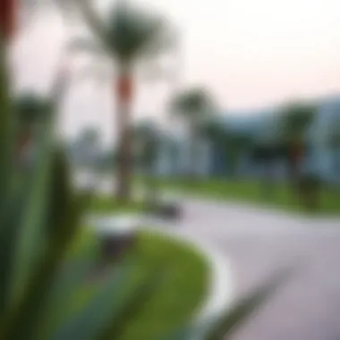 Scenic Park in Palmview Scenic park in Palmview offering recreational space for residents