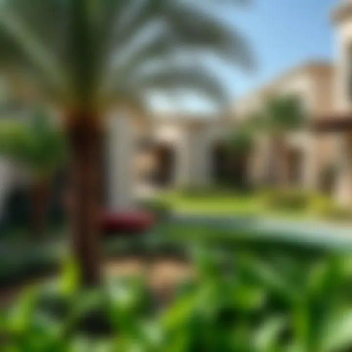 Serene Green Spaces in Dubai Villas Lush green landscape within a villa community