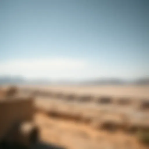 Breathtaking Al Wathba Landscape Scenic view of Al Wathba landscape