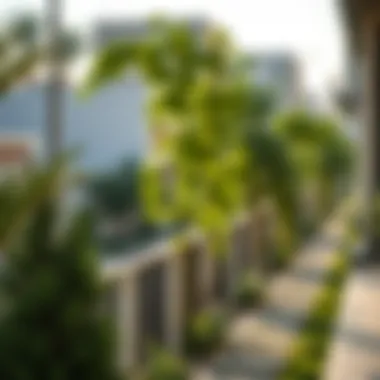 Green Spaces in the Heart of روضة ند الحمر Charming residential neighborhood in روضة ند الحمر with greenery