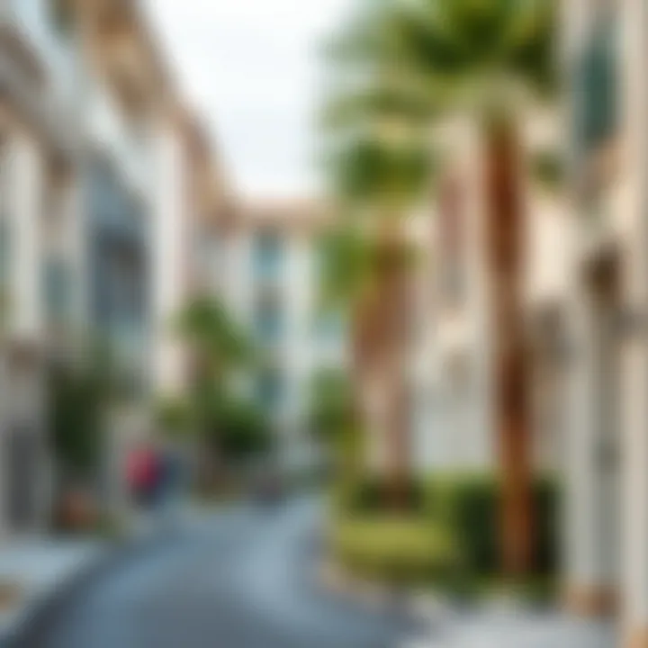 Charming Neighborhoods of Dubai Tranquil neighborhood street in Dubai with modern apartments