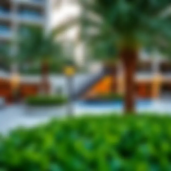 Lifestyle and Amenities at Riviera Beachfront Lush greenery and lifestyle amenities surrounding the beachfront area