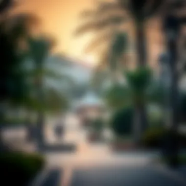 Vibrant Community Parks in Mohammed Bin Zayed City Community parks and recreational areas bustling with activity