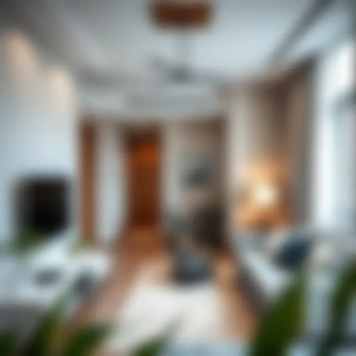 Contemporary Studio Flat Interior Contemporary studio flat interior showcasing modern decor